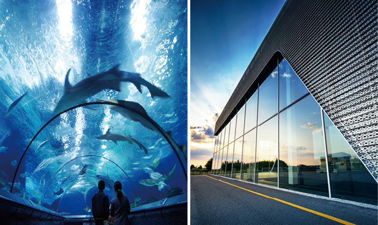 1622016712883135.png 06-魚(yú)鷹品牌-硅酮膠(Y888硬-3).png