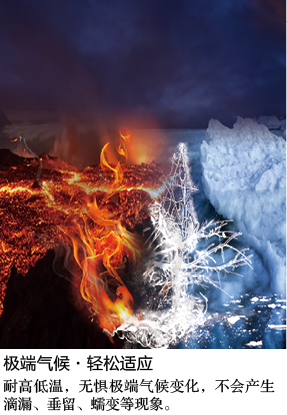 1654415916137301.png 07-倍力佳品牌-植筋膠-5.png